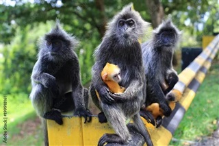 為什么每個孩子都需要一次海外游學