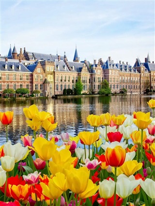 荷蘭留學(xué)|為什么選擇荷蘭留學(xué)？所有你關(guān)心的問題，在這兒都能找到答案！